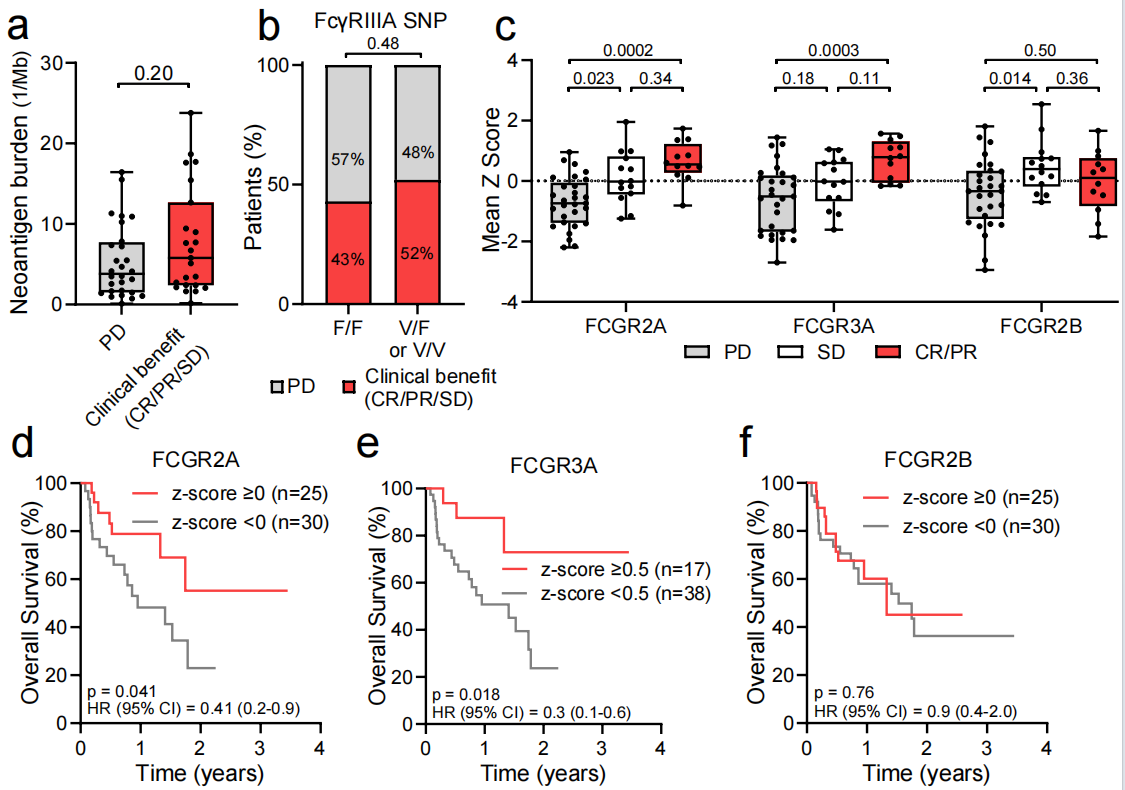 Fc enhanced anti CTLA-4 antibody Botensilimab treats tumors that respond poorly to conventional immunotherapy